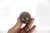 Chinese Vintage Chinese Shi-Lou Stone Stress Balls or Boading Baoding Balls Pair or Set in Silk Fabric Covered Box For Sale - Image 3 of 8
