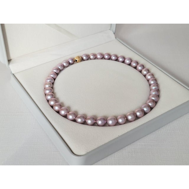 Pink Natural Freshwater Edison Pink Pearl Necklace With 14k Gold Clasp For Sale - Image 8 of 8