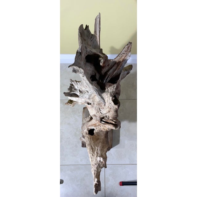 Large Natural Abstract Driftwood Sculpture For Sale - Image 10 of 12