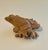 Chinese Live Edge Carved Root Wood Frog Feng Shui For Sale - Image 10 of 10