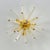 Fabio Ltd Oro Sputnik Flush Mount by Fabio LTD For Sale - Image 4 of 9