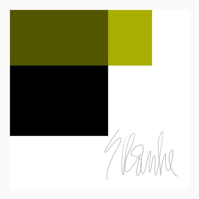 Not Yet Made - Made To Order The Interaction of Black and Leaf Green Fine Art Print 20" X 24" by Liz Roache For Sale - Image 5 of 6