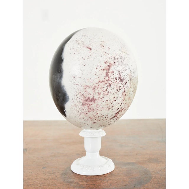 Mid 20th Century Set of Three Painted Dyed Ostrich Egg Specimens For Sale - Image 5 of 13