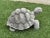 Cast Stone Tortoise Garden Ornament For Sale - Image 4 of 7