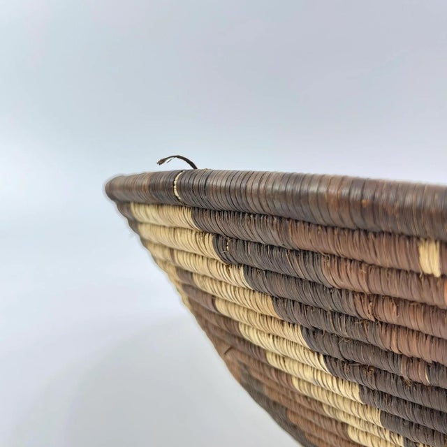 Early 20th Century Botswana Basket 17inch MATTER COLLECTION For Sale In Denver - Image 6 of 6