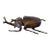 Japanese Articulate Bronze Beetle Jizai Okimono Attributed to Myochin Linage For Sale