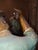 Large Early 20th C Shiwan Pottery Figures For Sale - Image 9 of 15