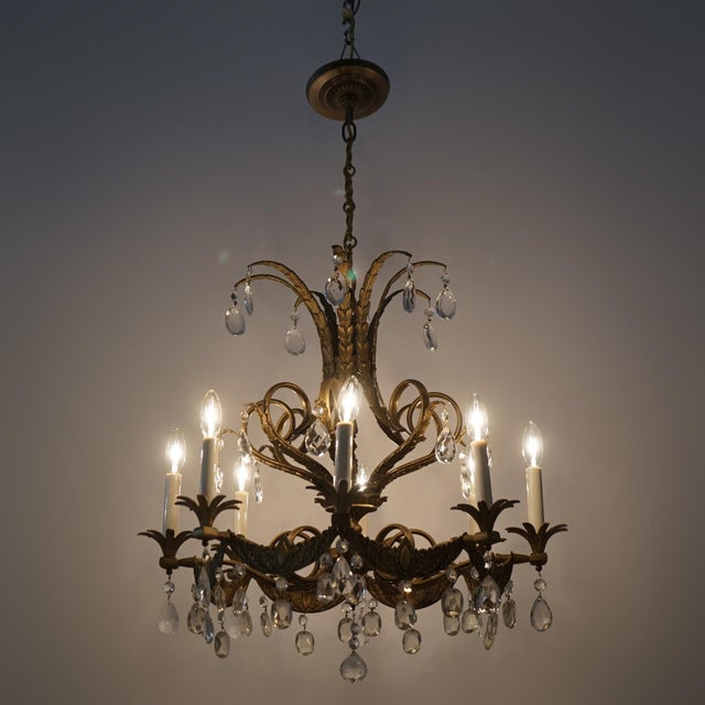 Vintage French Louis XIV Style Bronze & Crystal Eight-Light Chandelier C1930 For Sale - Image 10 of 10