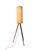 Magnificent and rare Mid-Century Modern floor lamp. Striking Italian design from the 1960s. Original solid teak tripod...