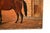 Animal Composition, 1790, Oil Painting on Canvas For Sale - Image 7 of 11
