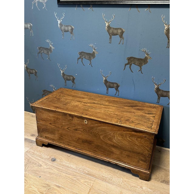18th Century Elm Trunk For Sale - Image 4 of 9
