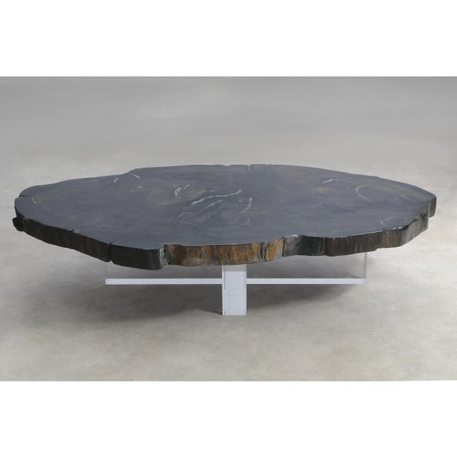 This exceptional coffee table is made from a single slab of black petrified wood, formed around 20 million years ago in...