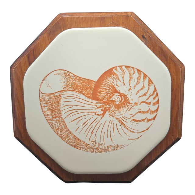 Vintage McAm Seashell Conch Shell Ceramic Plaque Art Decor For Sale