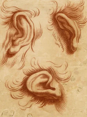 After Charles Le Brun, Physiognomy Study of Ears, 18th Century, Chalk Drawing