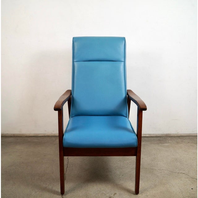 1960s 1960’s Mid-Century Modern Paoli Lounge Armchair For Sale - Image 5 of 12
