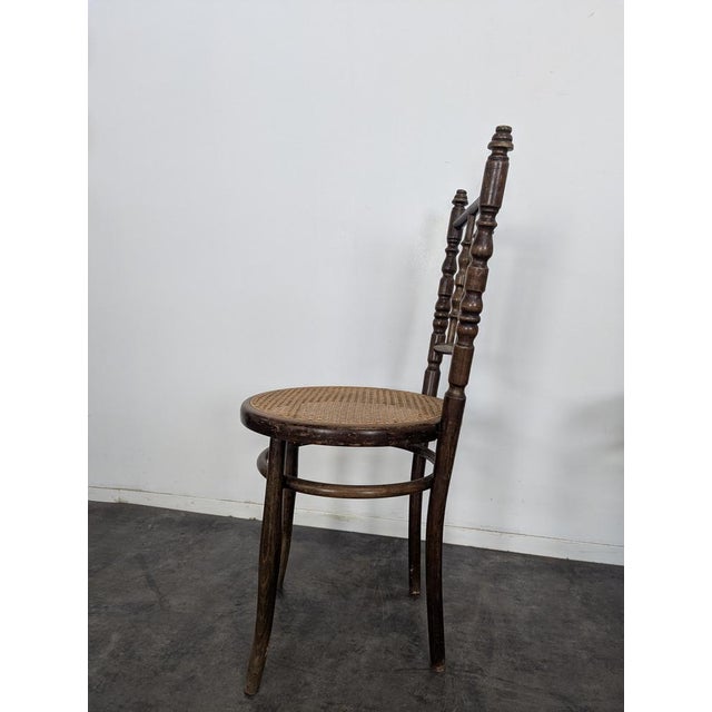 Dining Chairs in Wood from Thonet, Set of 4 For Sale - Image 5 of 7