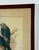 Original 19th Century John Gould & Henry Richter Hand-Colored Lithograph - Amydrus Tristrami For Sale - Image 4 of 10
