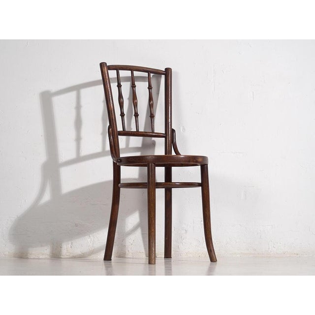 Colored Chairs from Thonet, 1920s, Set of 4 For Sale - Image 13 of 17