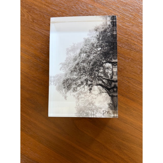 Original photographic work by Paula McIntosh of PJM Photo, offered as part of a studio clean-out of discontinued work....