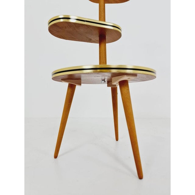 Vintage German Plant Stand, 1950s For Sale - Image 10 of 11