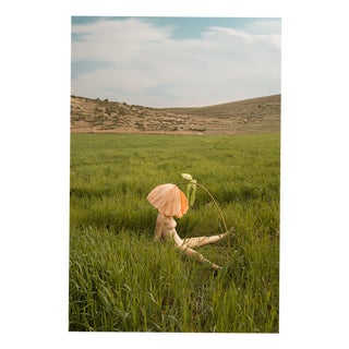 Carla Sutera Sardo, Hide, 2025, Photographic Print For Sale