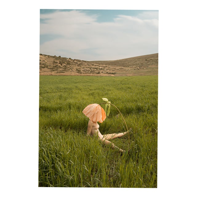 Carla Sutera Sardo, Hide, 2025, Photographic Print For Sale