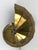 Mid-Century Modern Brass Sconce from Natilius, Germany, 1960s For Sale - Image 6 of 18