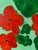 2020s Nasturtium Love by J. Popolin For Sale - Image 5 of 7