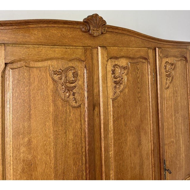 Vintage French Louis XVI Style Wardrobe in Oak For Sale - Image 6 of 13