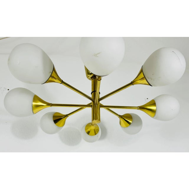 Mid-Century Modern Brass Chandelier from Kaiser Leuchten, 1960s For Sale - Image 3 of 11