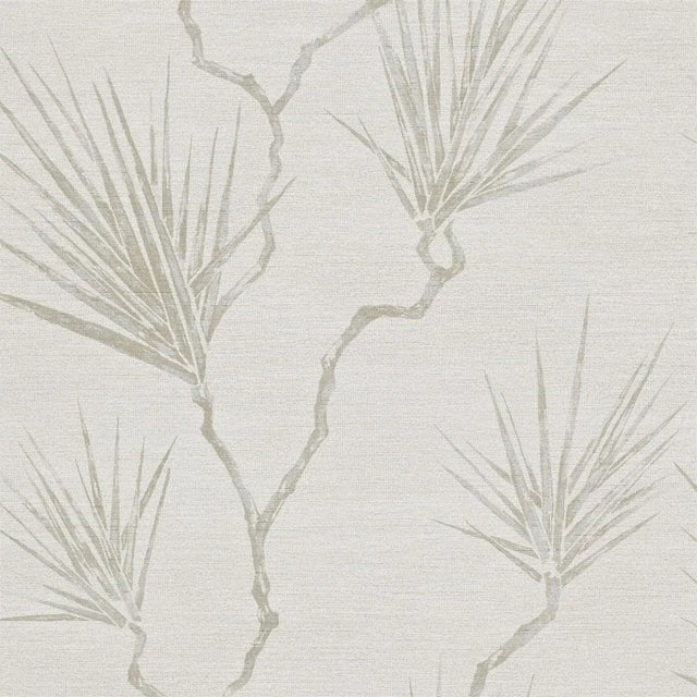 Harlequin Peninsula Palm Wallpaper in Parchment - a Sample For Sale