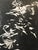 Jack Zajac, Surrealist Figurative Aquatint Etching California Modernist Sculptor Artist For Sale In Miami - Image 6 of 7