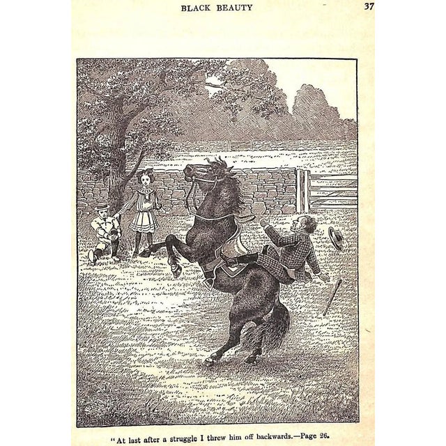 White "Black Beauty: The Autobiography of a Horse" 1929 Sewell, Anna For Sale - Image 8 of 13