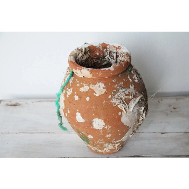 19th Century Antique Terracotta Octopus Trap, Octopus Terracotta Undersea Pot For Sale - Image 6 of 13