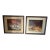 Vintage Pair of Signed Oil Paintings - Circus & Equestrian Scenes by D. Hall, 1965-66 For Sale
