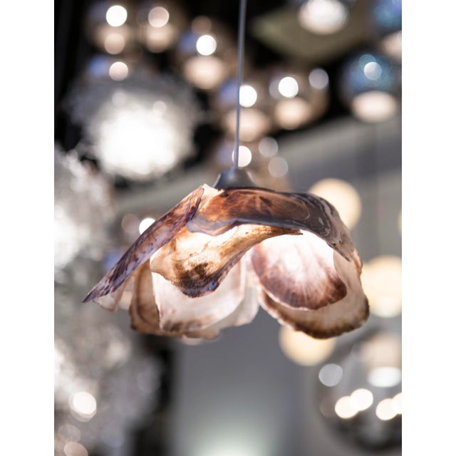 Currey & Company Currey & Company Catrice 1-Light Multi-Drop Pendant For Sale - Image 4 of 6