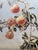 Peintures Et Dessins Exhibition Poster from Pedro Moreno Meyerhoff, France, 1992 For Sale - Image 3 of 8