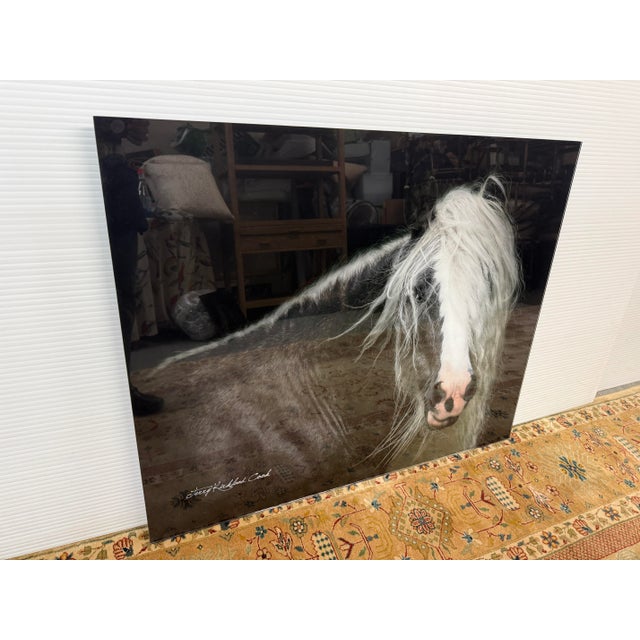 Design Plus Gallery presents an Acrylic Print Bombshell by Jerry Kirkland Cook. A striking image of a black horse with a...