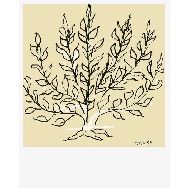 After Henri MATISSE LE BUISSON 2019 lithograph on white Bristol board signed in the plate 33.5 x 26.8 in illustration :...