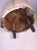 Beige Art Deco Modernist Peacock Back Upholstered Barrel Chair by Gilbert Rohde For Sale - Image 8 of 9