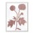 Dandelion by Susan Hable For Sale