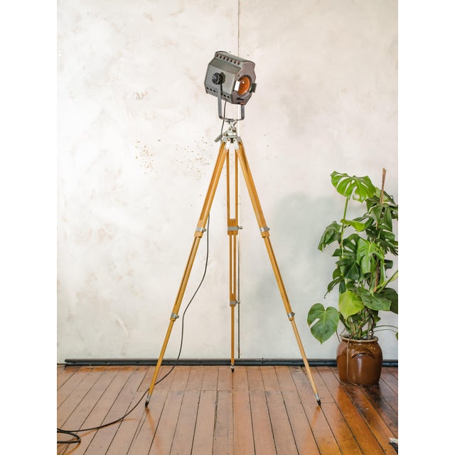 Industrial Studio Spotlight Floor Lamp on Berlebach Wooden Tripod from ADB, Belgium, 1960s For Sale - Image 9 of 15