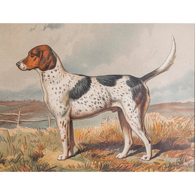 Single Print - This is for the exact brown, white, and black Hunting Style dog print in the main photo. (18 available see...