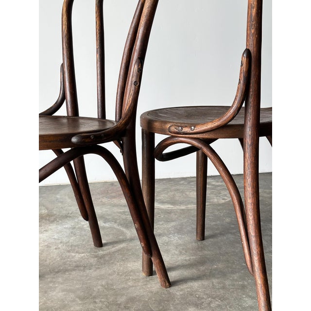 Bentwood Oak Café Chairs W/ Rose Floral Seats, 1933 World's Fair — Set of 7 For Sale - Image 14 of 17
