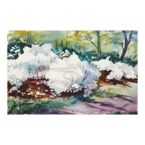 1950s "Bronx Park P4.28" Watercolor Painting by Eve Nethercott