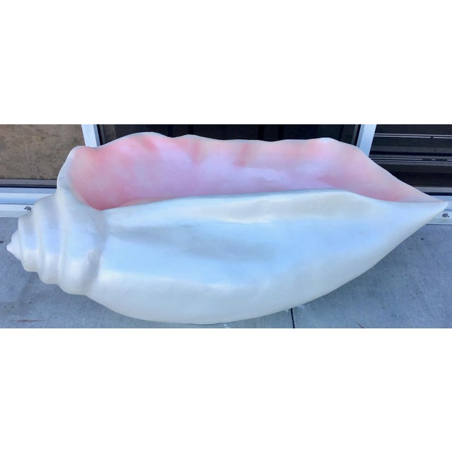 Plastic XL Fiberglass Seashell For Sale - Image 7 of 11