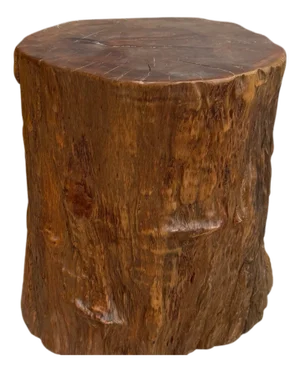 Large Honey Brown Reclaimed Tree Trunk Side Pedestal Table