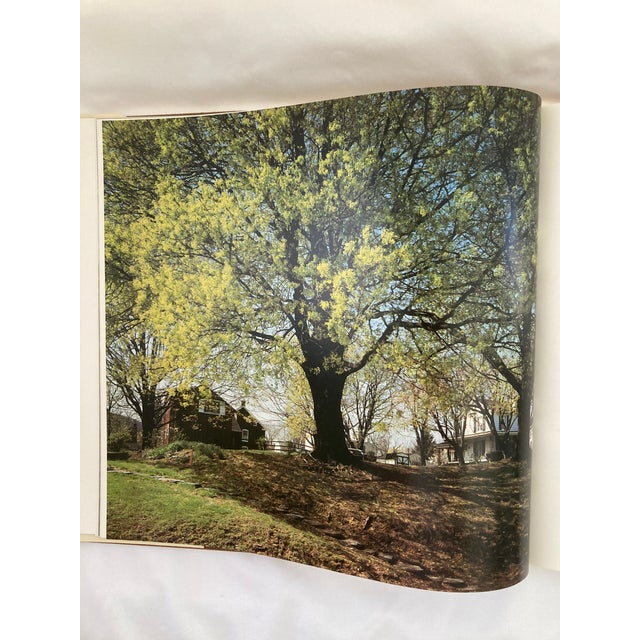 The American South / a Vintage Oversized Coffee Table Book / 1980 For Sale In Nashville - Image 6 of 11