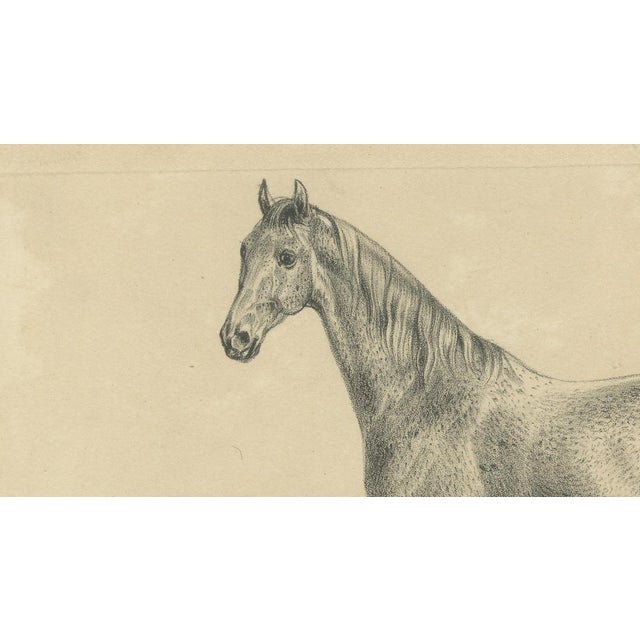 August Jäger, Burnu, 1846, Lithograph For Sale - Image 3 of 9
