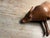 Wood Vintage Hand Carved Wooden Sculpture of an Asian Water Buffalo For Sale - Image 7 of 8